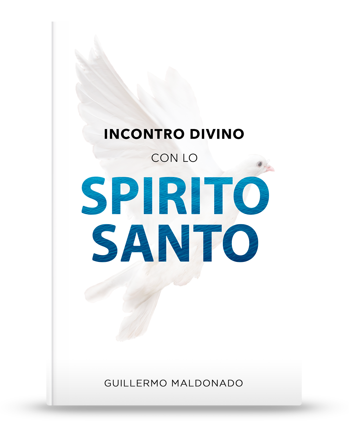 Incontro divino con lo Spirito Santo
